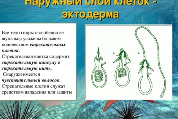 Кракен зеркало 2kraken biz