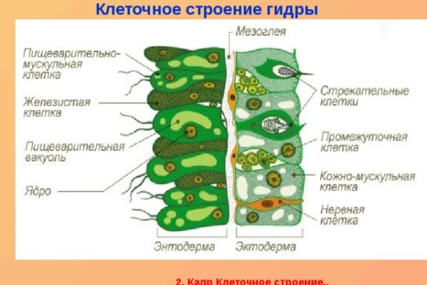 Актуальный адрес кракена