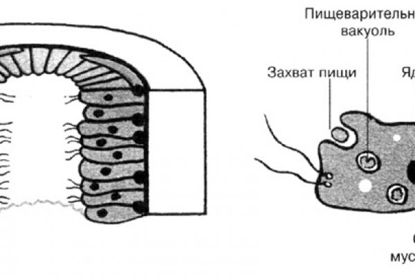 Кракен вход krakens13 at