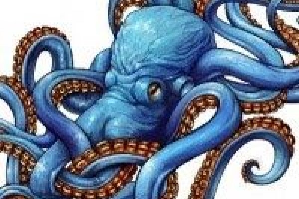 Kraken official